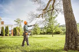 Best Hazardous Tree Removal  in Ridge Wood Heights, FL