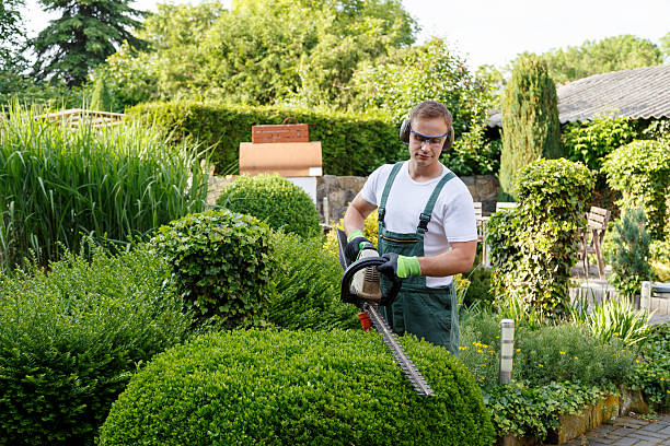 Best Pest Control for Lawns  in Ridge Wood Heights, FL